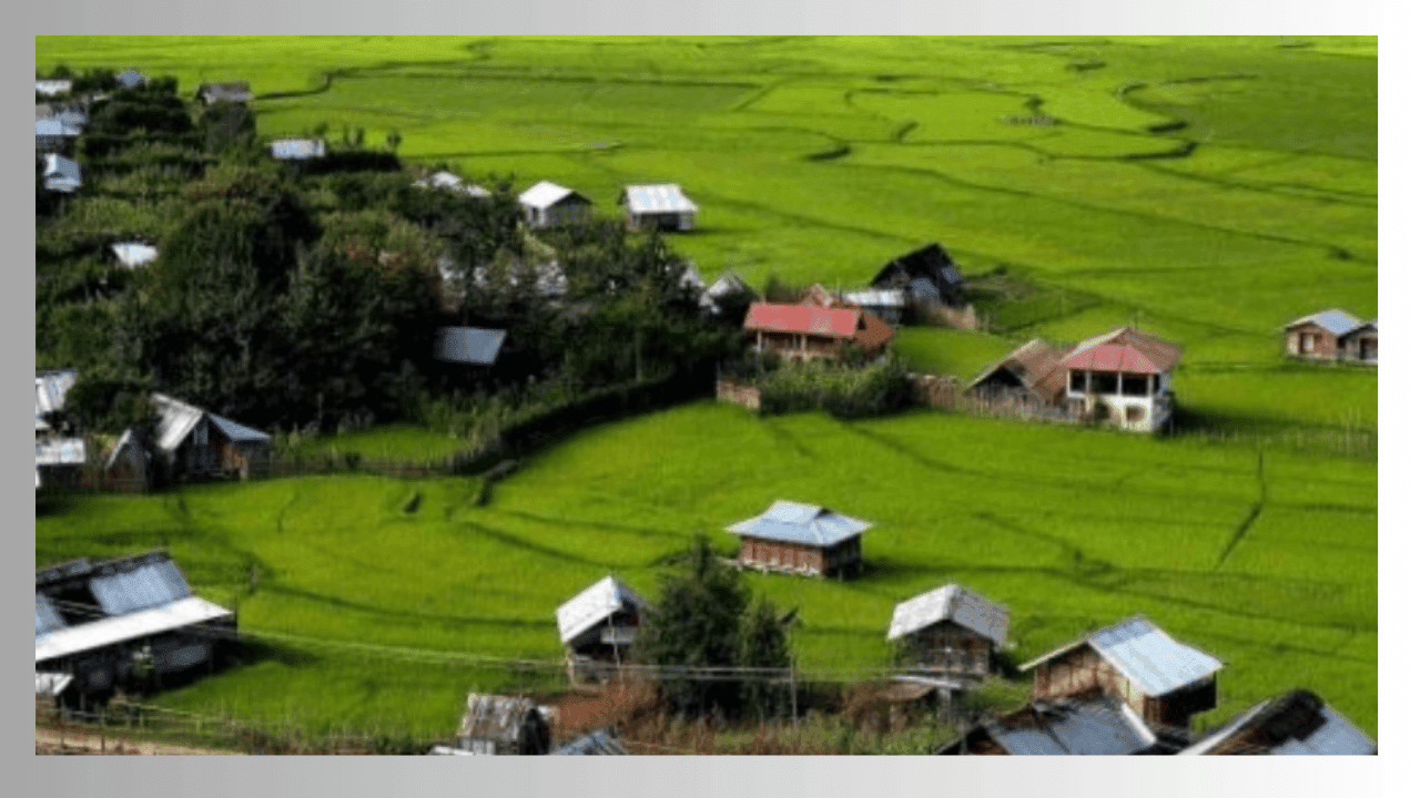 Ziro valley