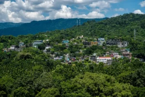 Read more about the article Shillong: एक बेहद खूबसूरत स्थान है, जो गुवाहाटी से 100 किलोमीटर दक्षिण में राष्ट्रीय राजमार्ग 6 (NH6) पर स्थित है।